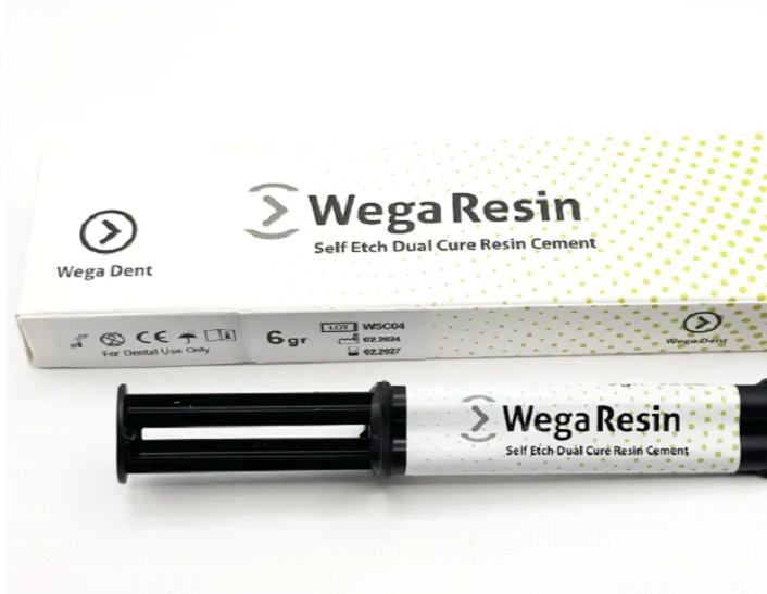 Wega Dual Cure Rezin Siman